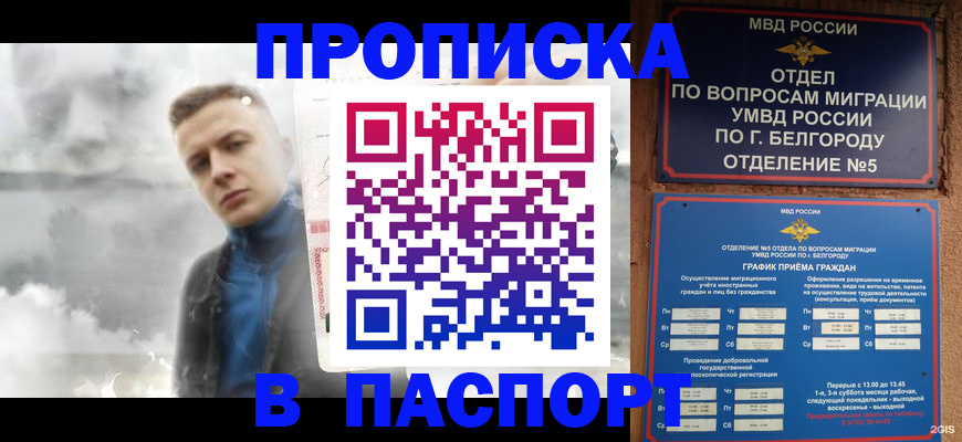 временная регистрация в Куртамыше